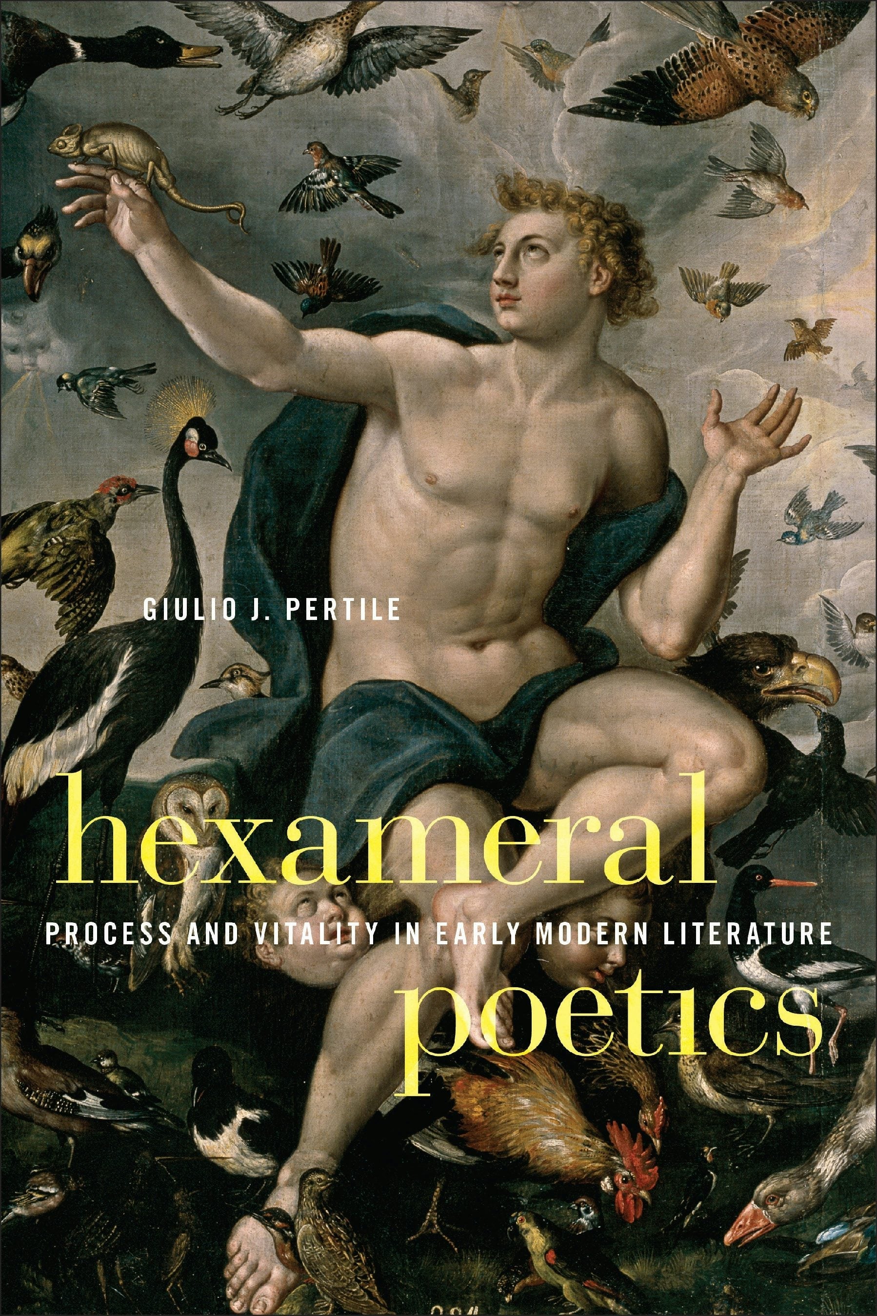 Book cover image for Hexameral Poetics ISBN: 9781531513955